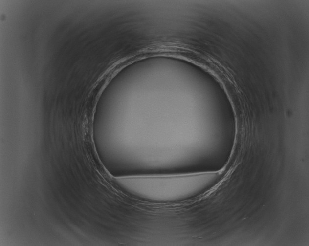 X0000087531449200704270845