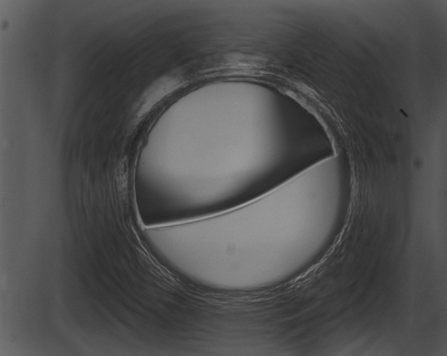X0000087531450200704270845