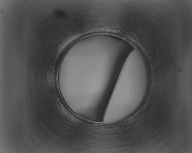 X0000087531452200704270845