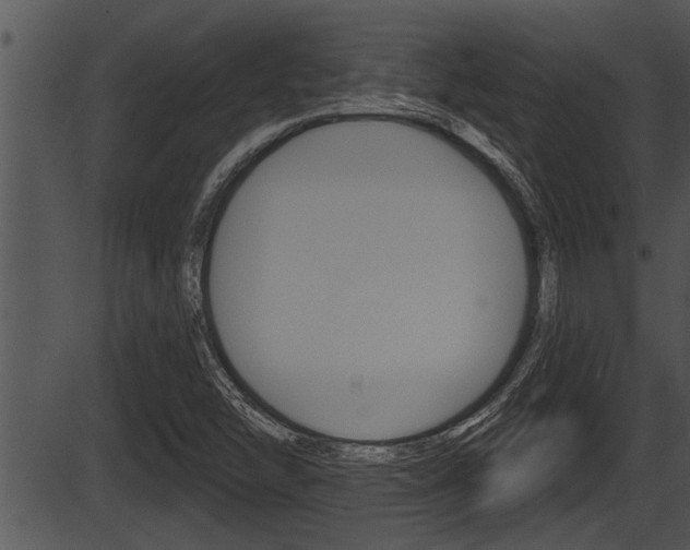 X0000087531454200704270845