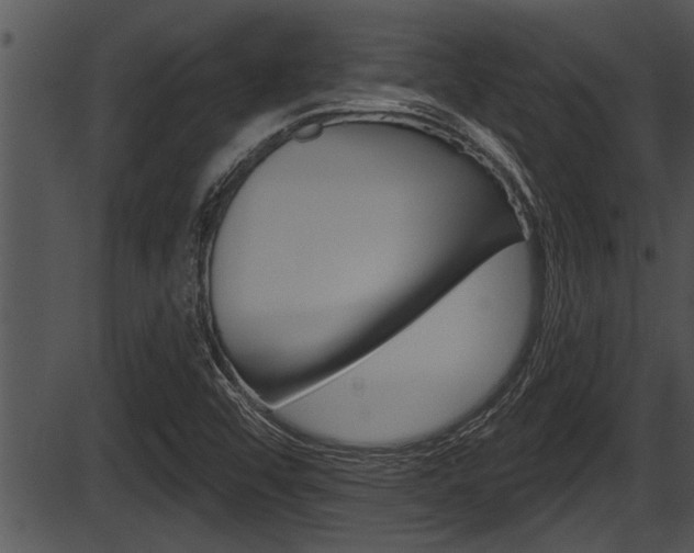 X0000087531456200704270845