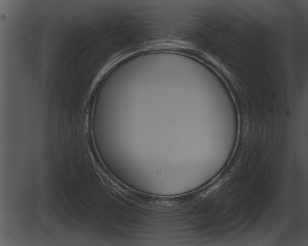 X0000087531459200704270845