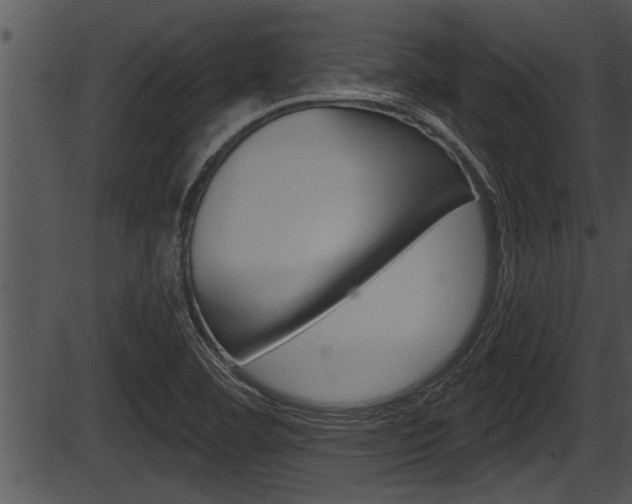 X0000087531460200704270845