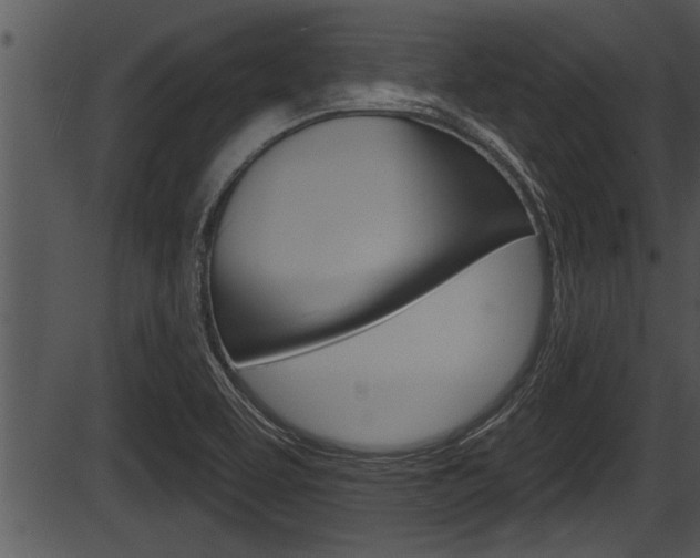 X0000087531463200704270845