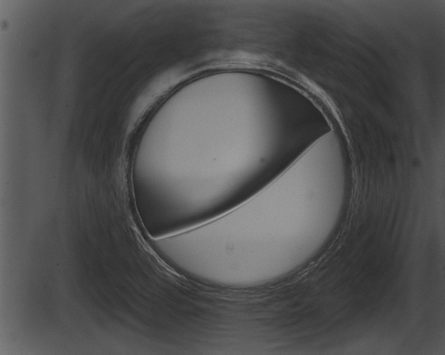 X0000087531464200704270845