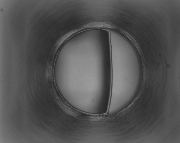 X0000087531465200704270845