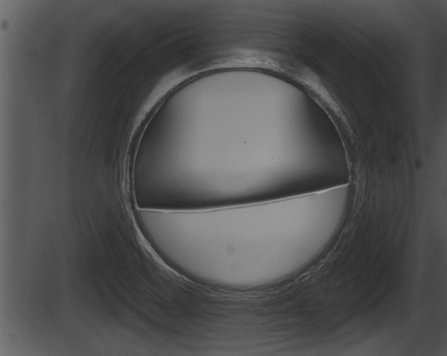 X0000087531468200704270845