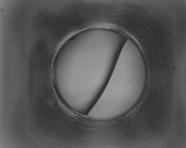 X0000087531471200704270845