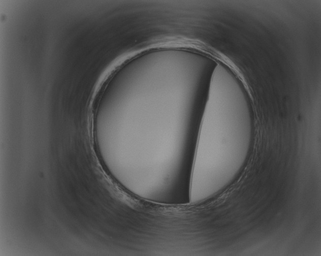 X0000087531472200704270845