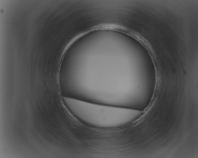 X0000087531473200704270845