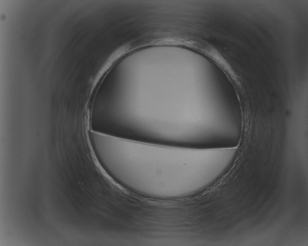 X0000087531476200704270845