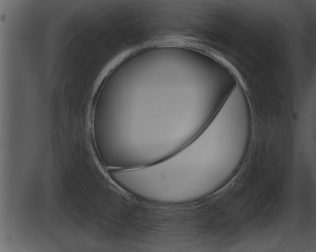 X0000087531477200704270845