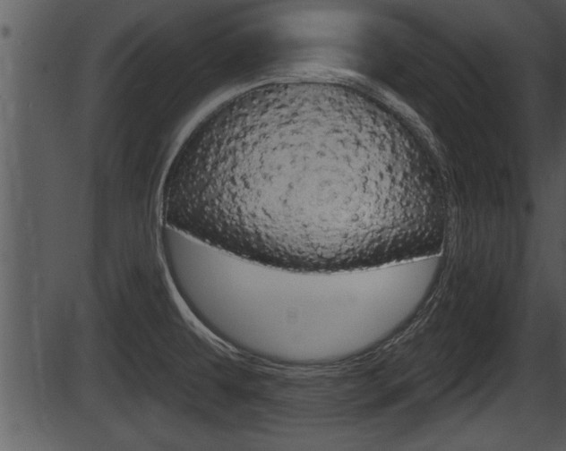 X0000087531479200704270845