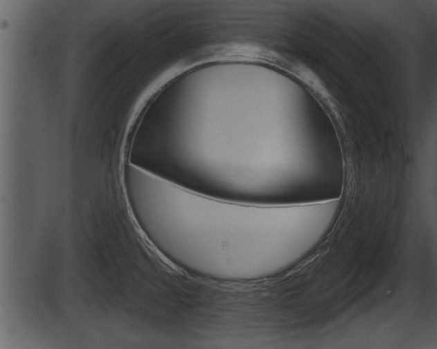 X0000087531480200704270845