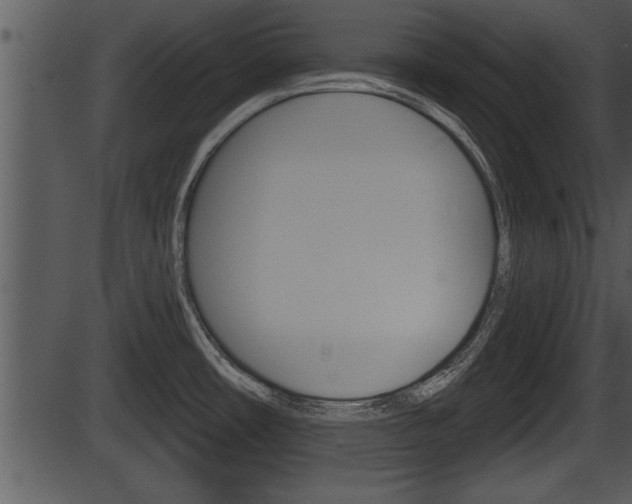 X0000087531482200704270844