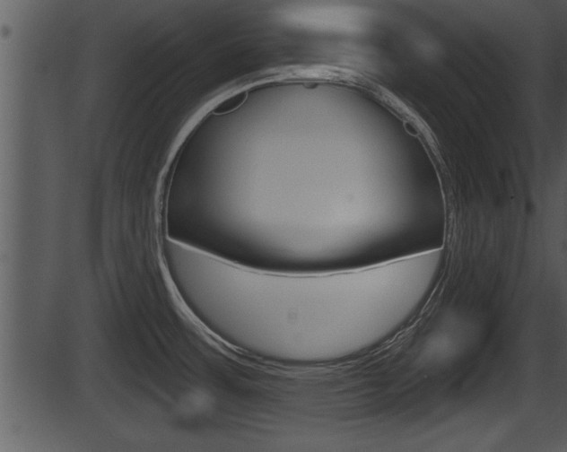 X0000087531483200704270844