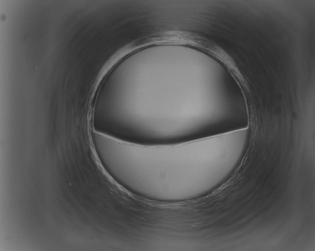 X0000087531484200704270844