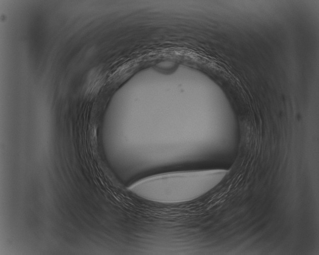 X0000087531489200704270844