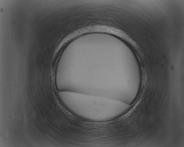 X0000087531498200704270844