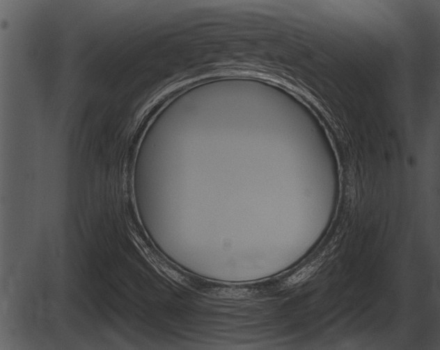 X0000087531499200704270844