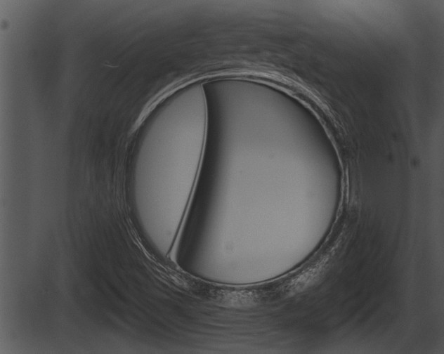 X0000087531501200704270844