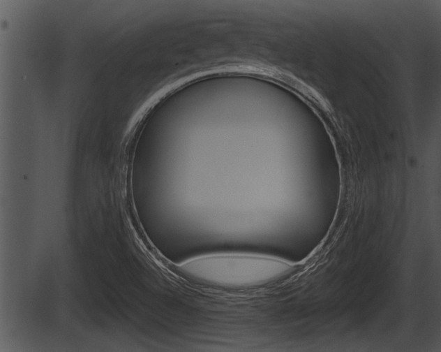 X0000087531504200704270844