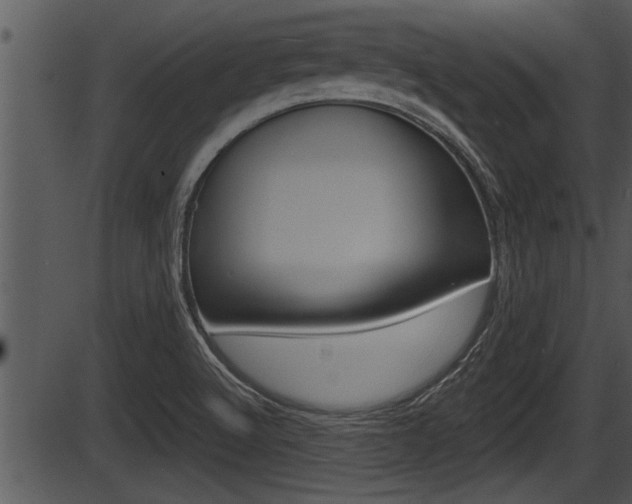 X0000087531512200704270844