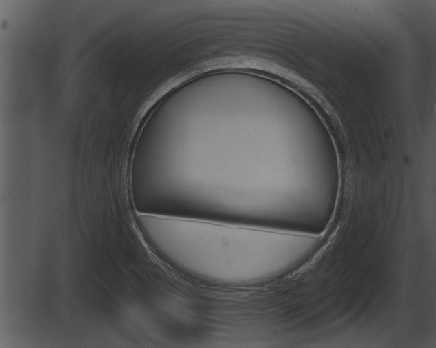 X0000087531513200704270844