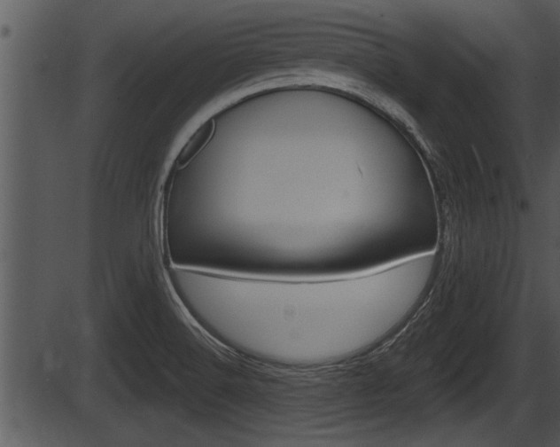X0000087531516200704270844