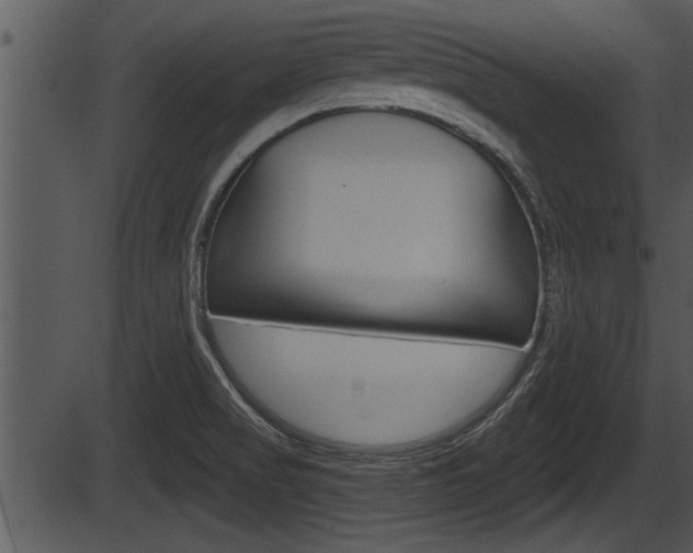 X0000087531517200704270844