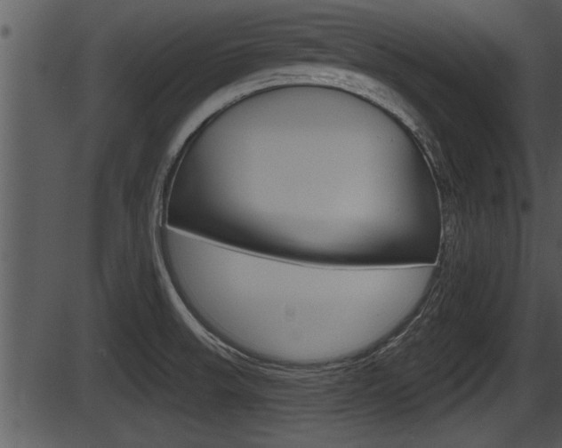 X0000087531523200704270844