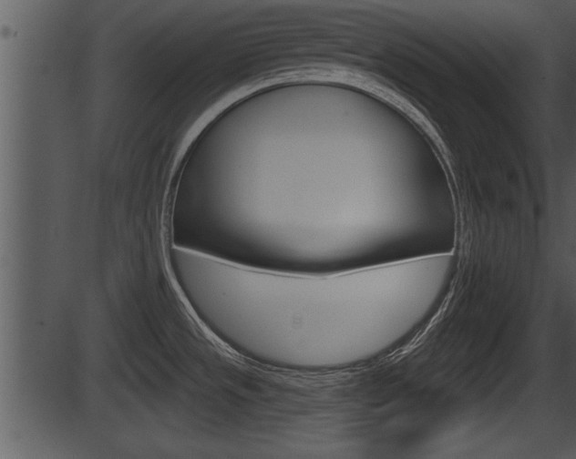 X0000087531533200704270844