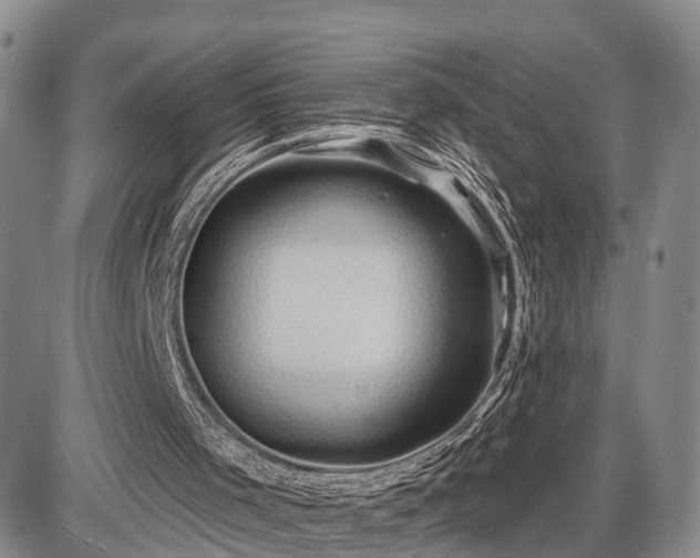 X0000087530001200704271218