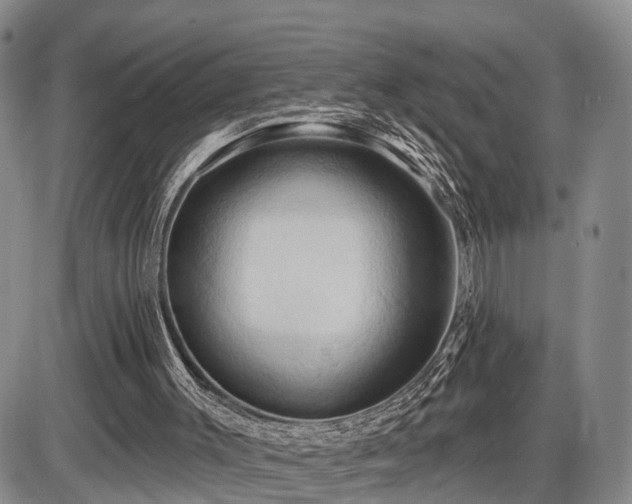 X0000087530003200704271218