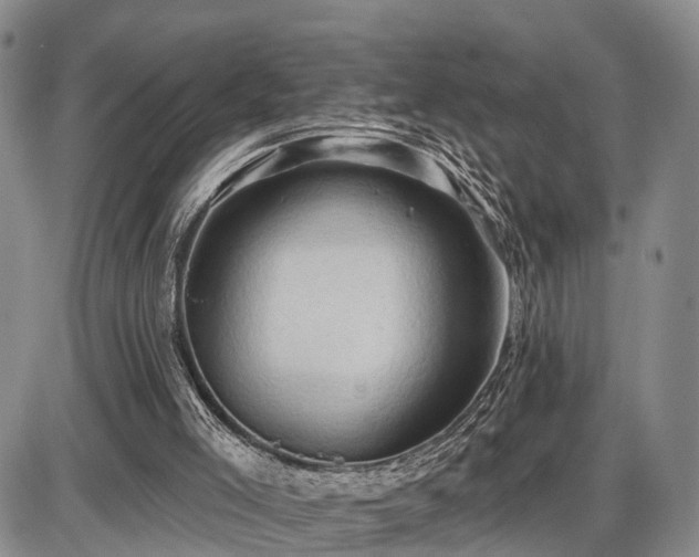 X0000087530005200704271218