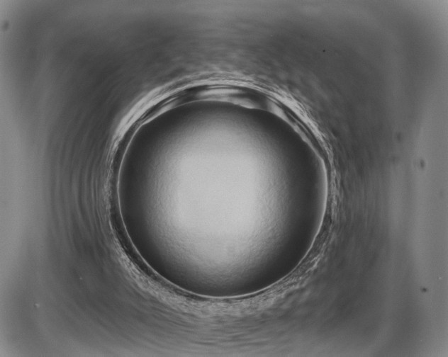 X0000087530007200704271218
