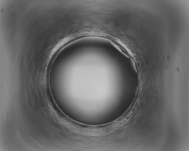 X0000087530008200704271218