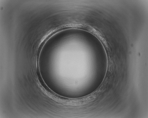 X0000087530011200704271218