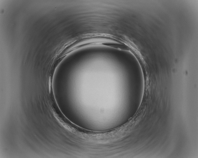 X0000087530013200704271218