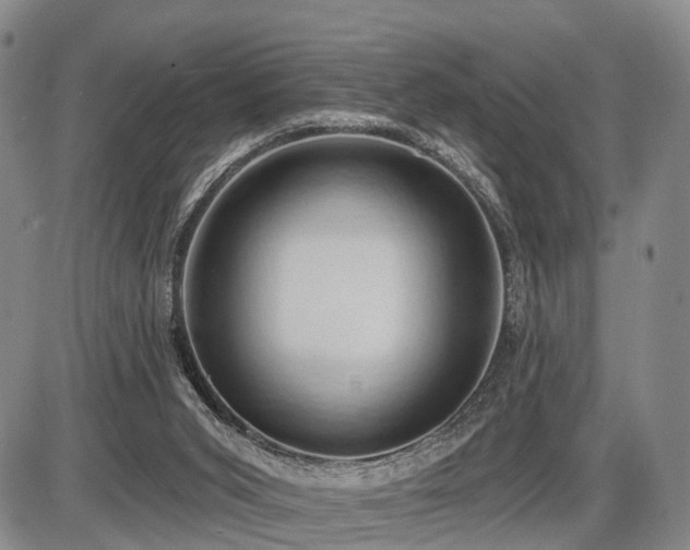 X0000087530015200704271218