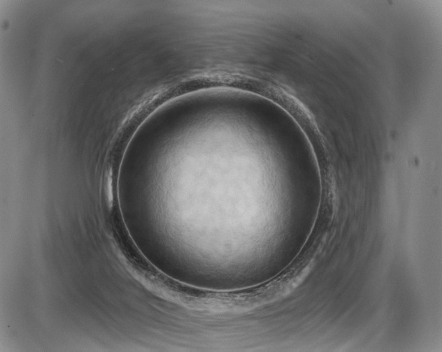 X0000087530020200704271218
