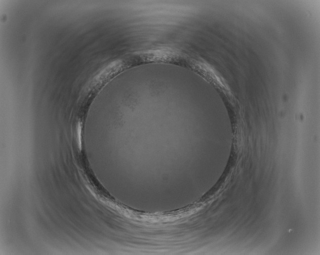 X0000087530022200704271218