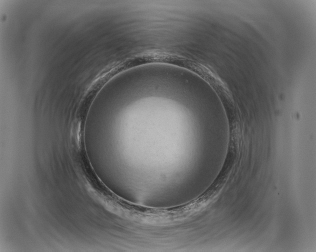 X0000087530024200704271218