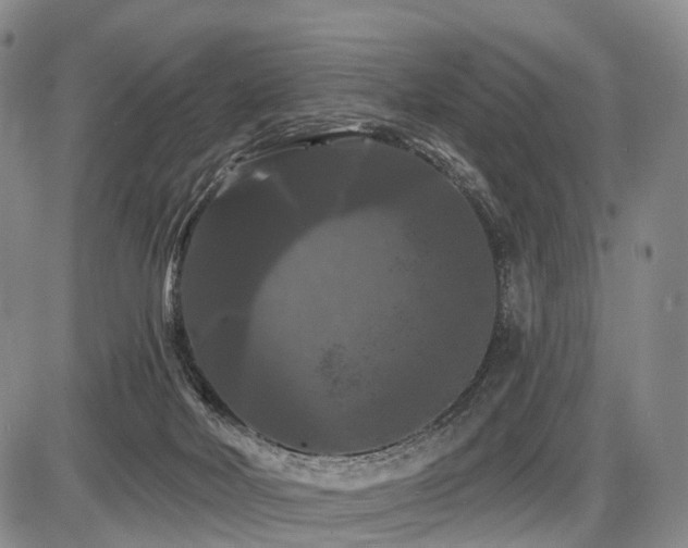 X0000087530026200704271218