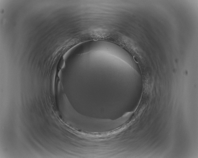X0000087530027200704271218