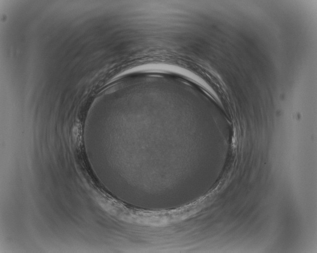 X0000087530029200704271218