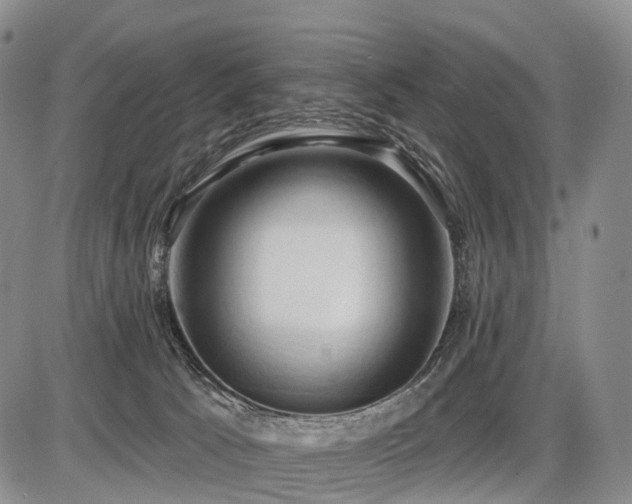 X0000087530033200704271218