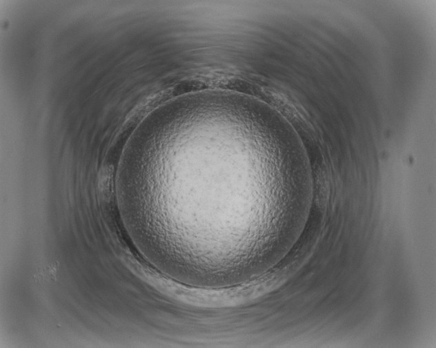 X0000087530034200704271218