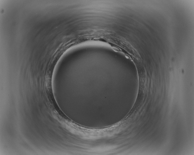 X0000087530035200704271218