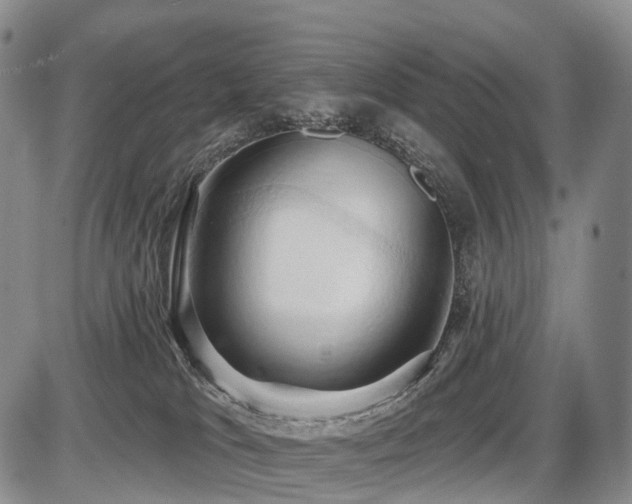 X0000087530037200704271218